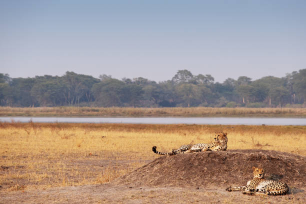 Best National Parks in Malawi