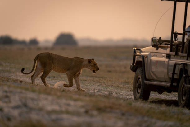 Best National Parks in Botswana