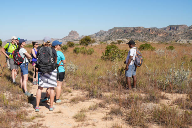 Ajira za Tourism and Travel Zilizotangazwa Leo
